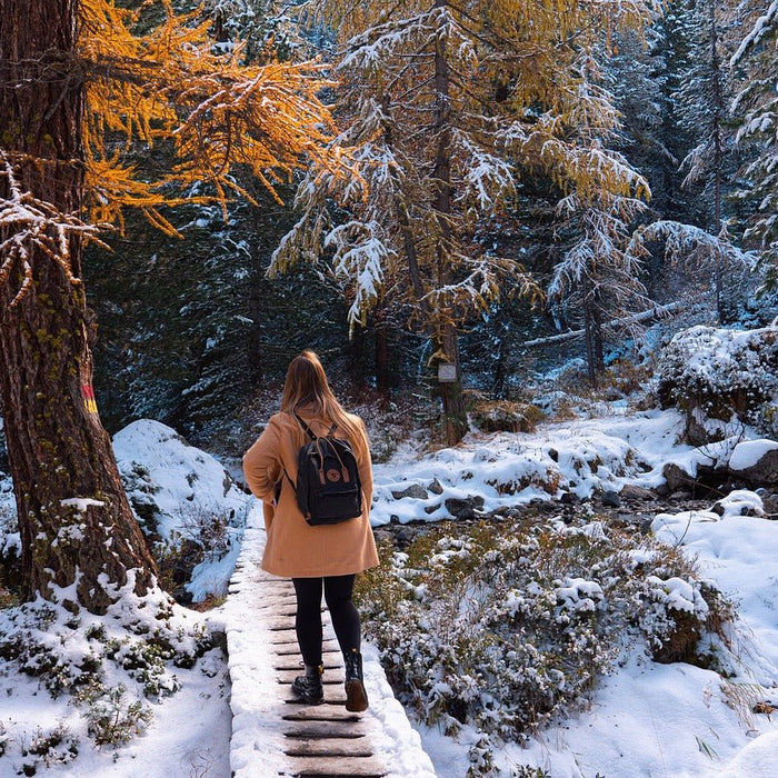 Winter Wilderness: A Guide to Hiking in January - More than a backpack